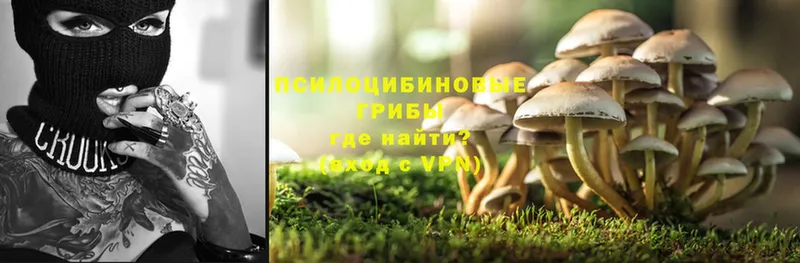 mega ТОР  где найти наркотики  Фёдоровский  Псилоцибиновые грибы Psilocybine cubensis 